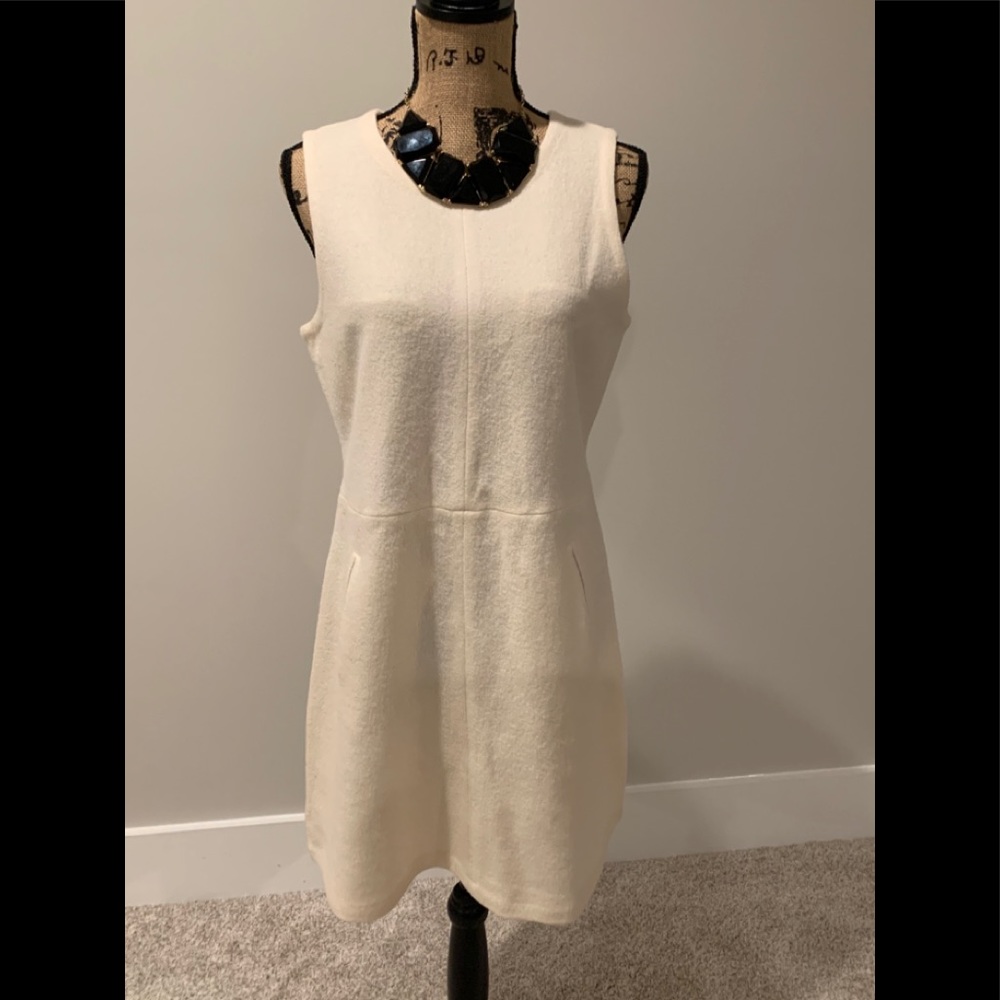 Ann Taylor - Winter Wool Dress